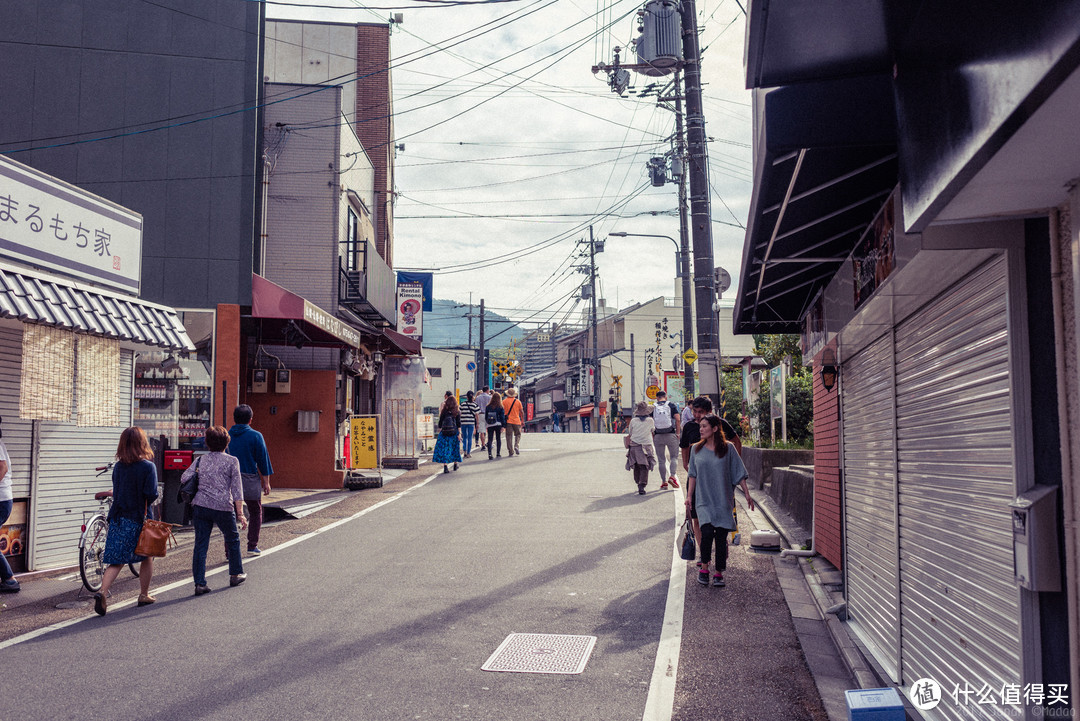 再访京都，稻荷山与花之绘姿