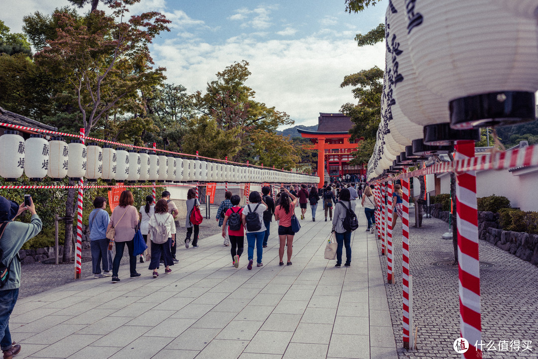 再访京都，稻荷山与花之绘姿