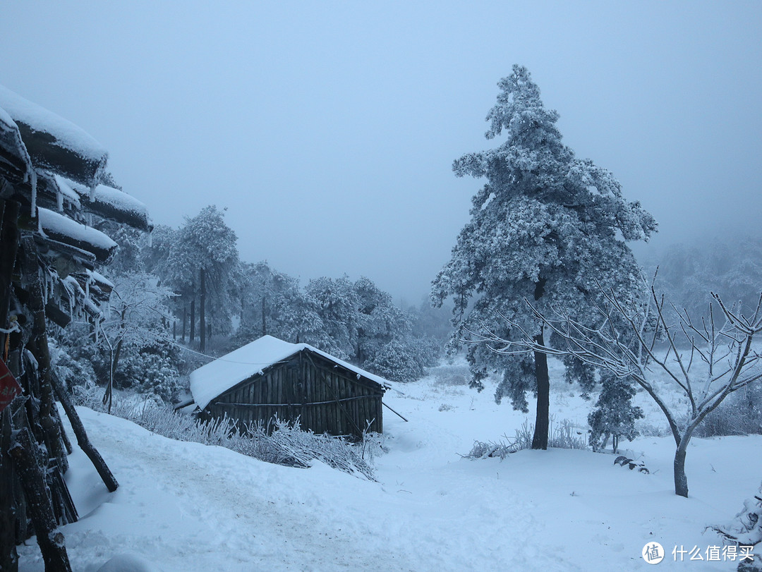 冬季玩雪怕冷如何办推介一个利器：JackWolfskin羽绒3合1冲锋衣