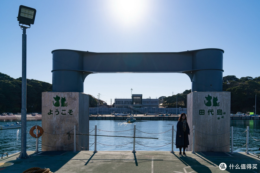 石卷市猫岛一日游（大量猫图）