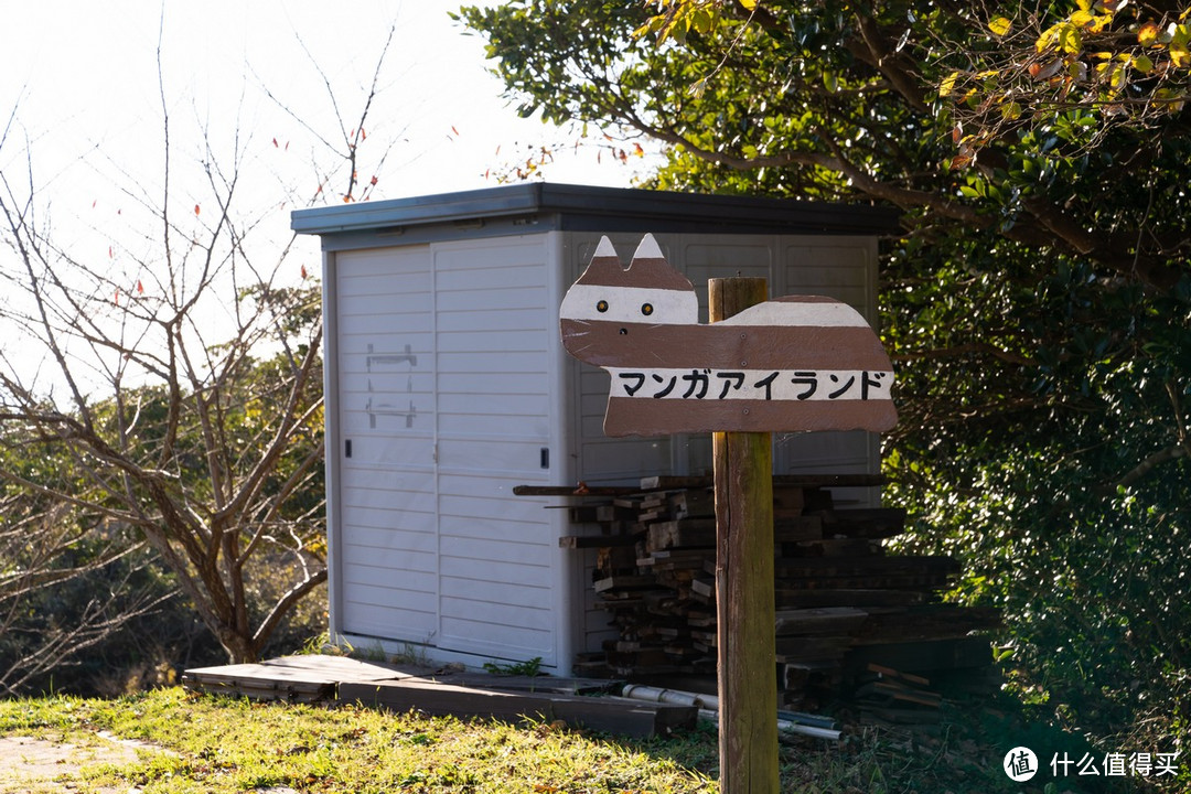 石卷市猫岛一日游（大量猫图）