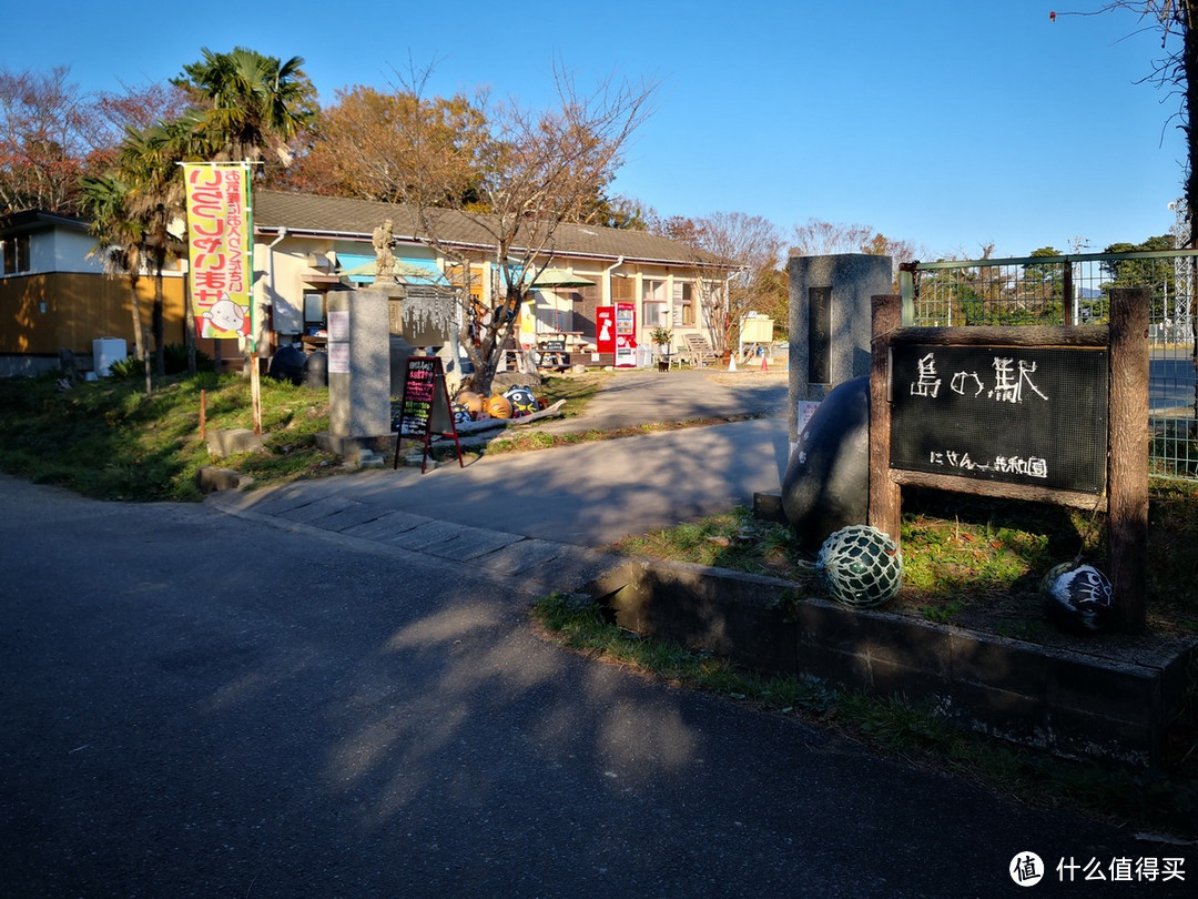 石卷市猫岛一日游（大量猫图）