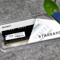 光威悍将 DDR4 台式机内存 2400 4G外观展示(散热片|材质|标签|芯片|金手指)