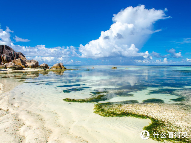 这个海岛有全球最美海滩之一，还免签！冬天就是要飞向温暖的地方啊~