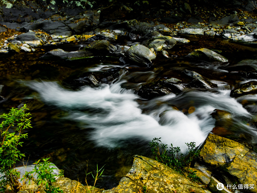 0.8 F20 ISO100,19mm，LR简单调整