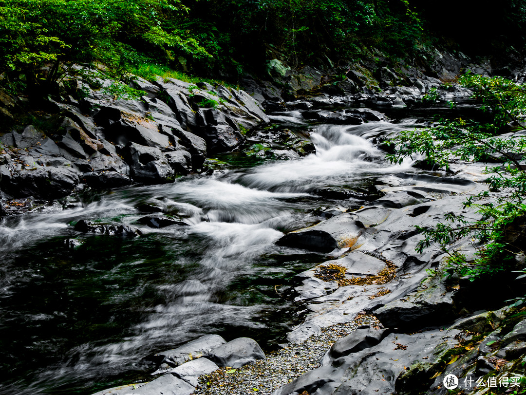 0.8 F20 ISO100,19mm，LR简单调整