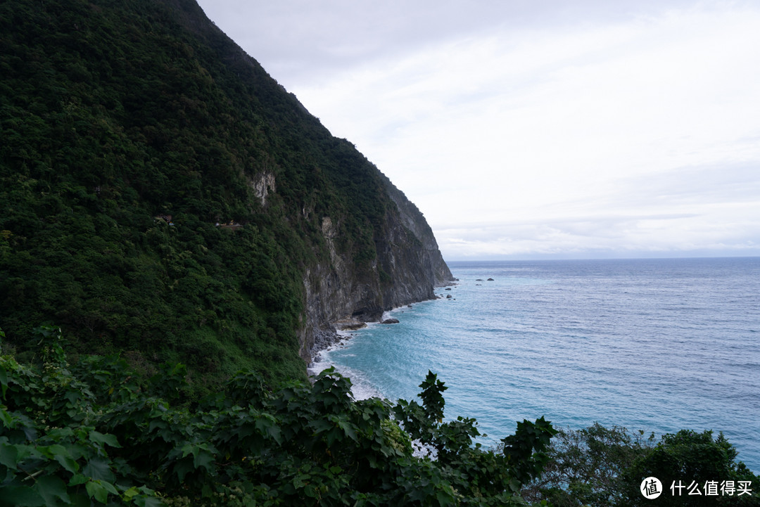 台湾行D3：清境农场-武岭-花莲