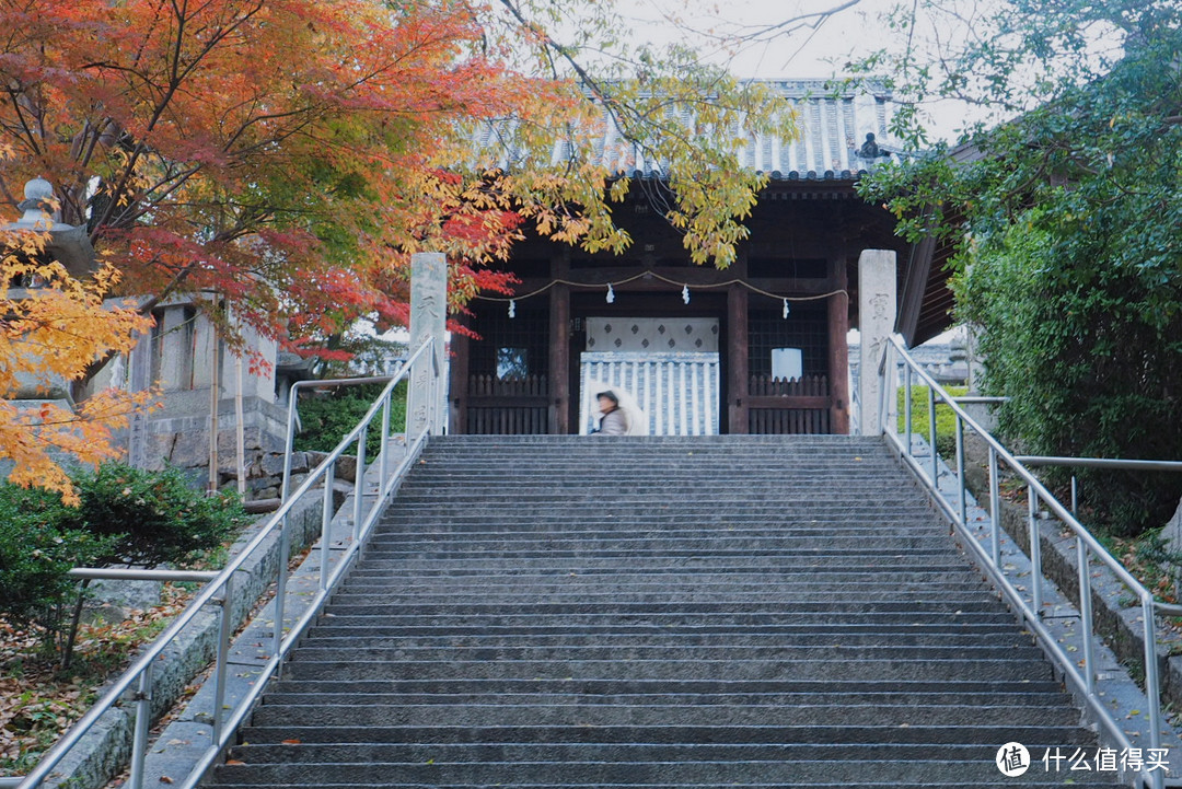 日本山阴山阳 | 追CON、暴走与发呆