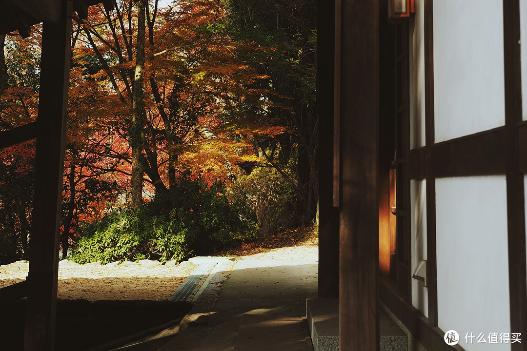 日本山阴山阳 | 追CON、暴走与发呆