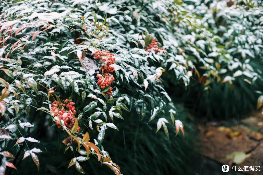 雪天真的是意外之喜，记人生中的第二家安缦