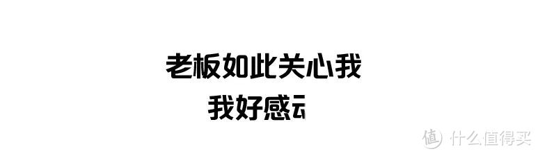 实测5款除甲醛产品，比活性炭好用1万倍的竟是它...