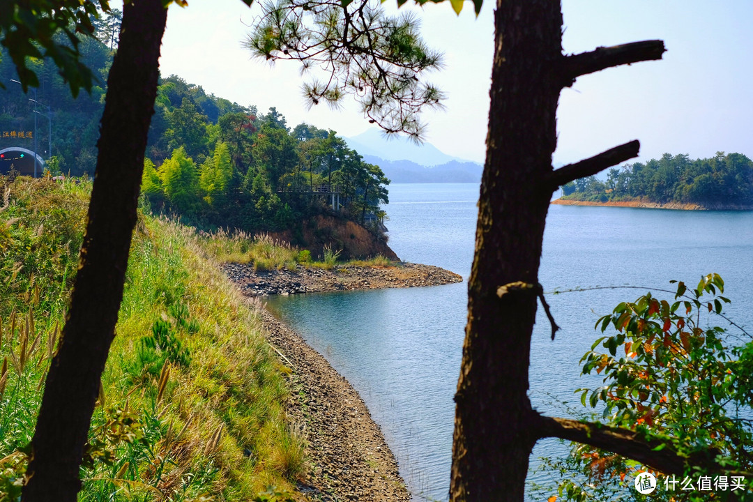 广东到上海 东南沿海15日自驾