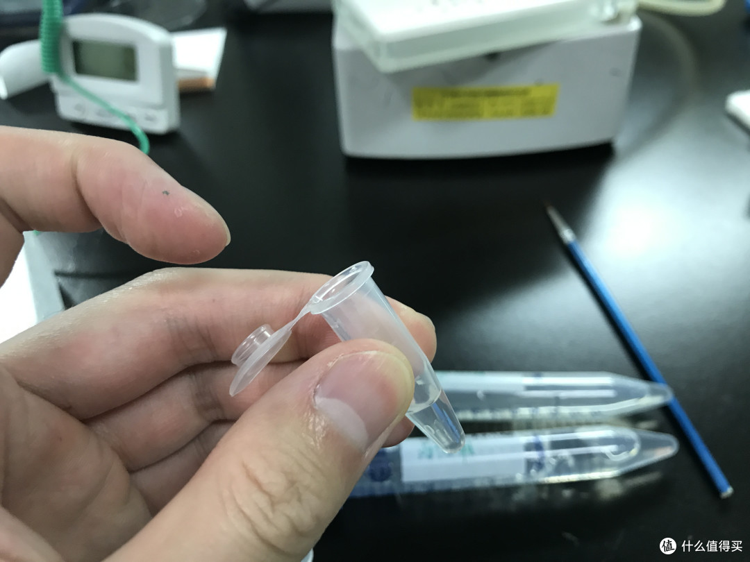 定格每一个美好瞬间——柑橘凤蝶标本制作指南