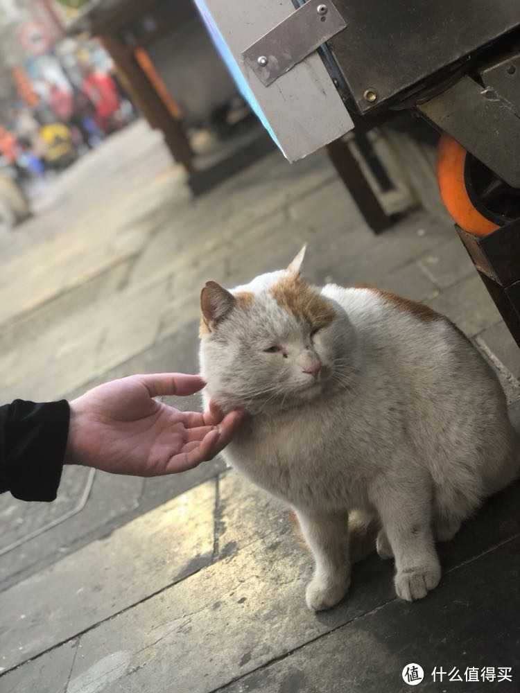 多图慎入 说走就走的旅行—西安