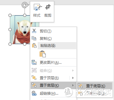 三分钟教你用PPT制作各种尺寸、底色的证件照