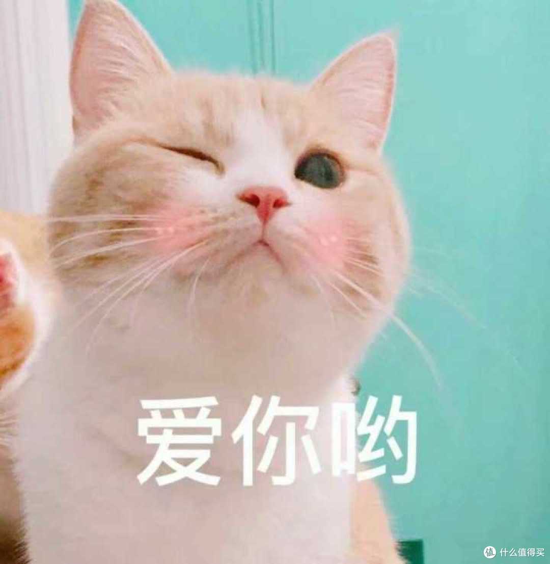 冬至准备到了,这份暖心小礼物请查收!