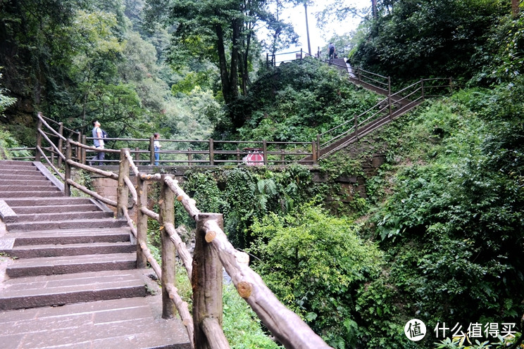 峨眉山1.5日游：猴哥告诉你什么叫—literally蹬鼻子上脸！