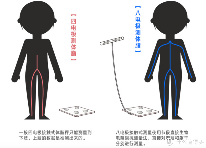 健康减肥好帮手：海尔八电极智能体脂秤Q81使用体验