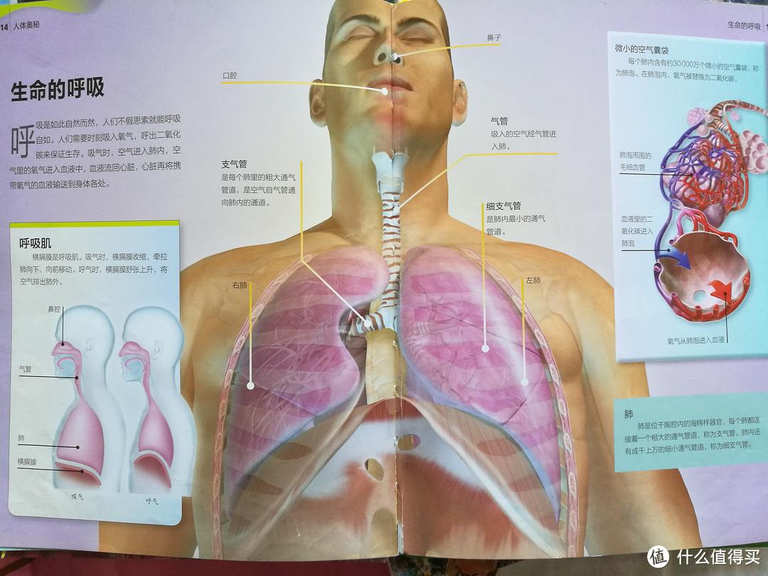 一年级小盆友读什么？—那些年我买过的童书们以及怀旧相关