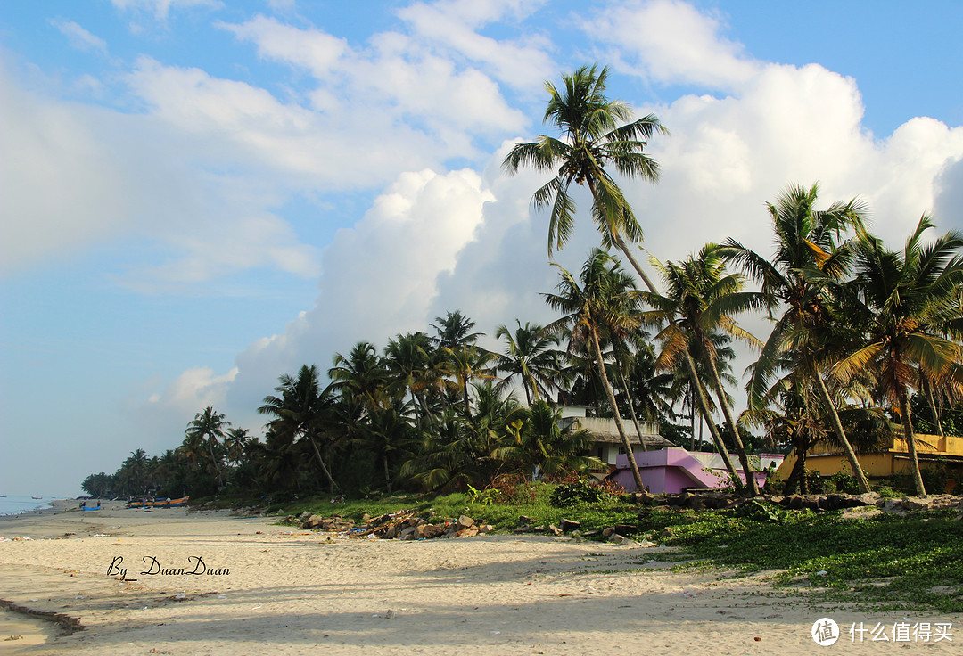 去南印，吹吹阿拉伯海的海风（篇四、椰林天堂Allappuzha）