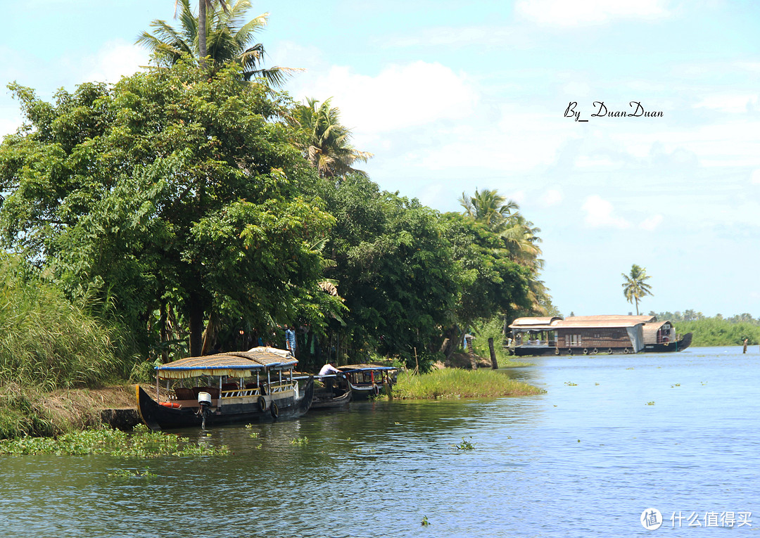 去南印，吹吹阿拉伯海的海风（篇四、椰林天堂Allappuzha）