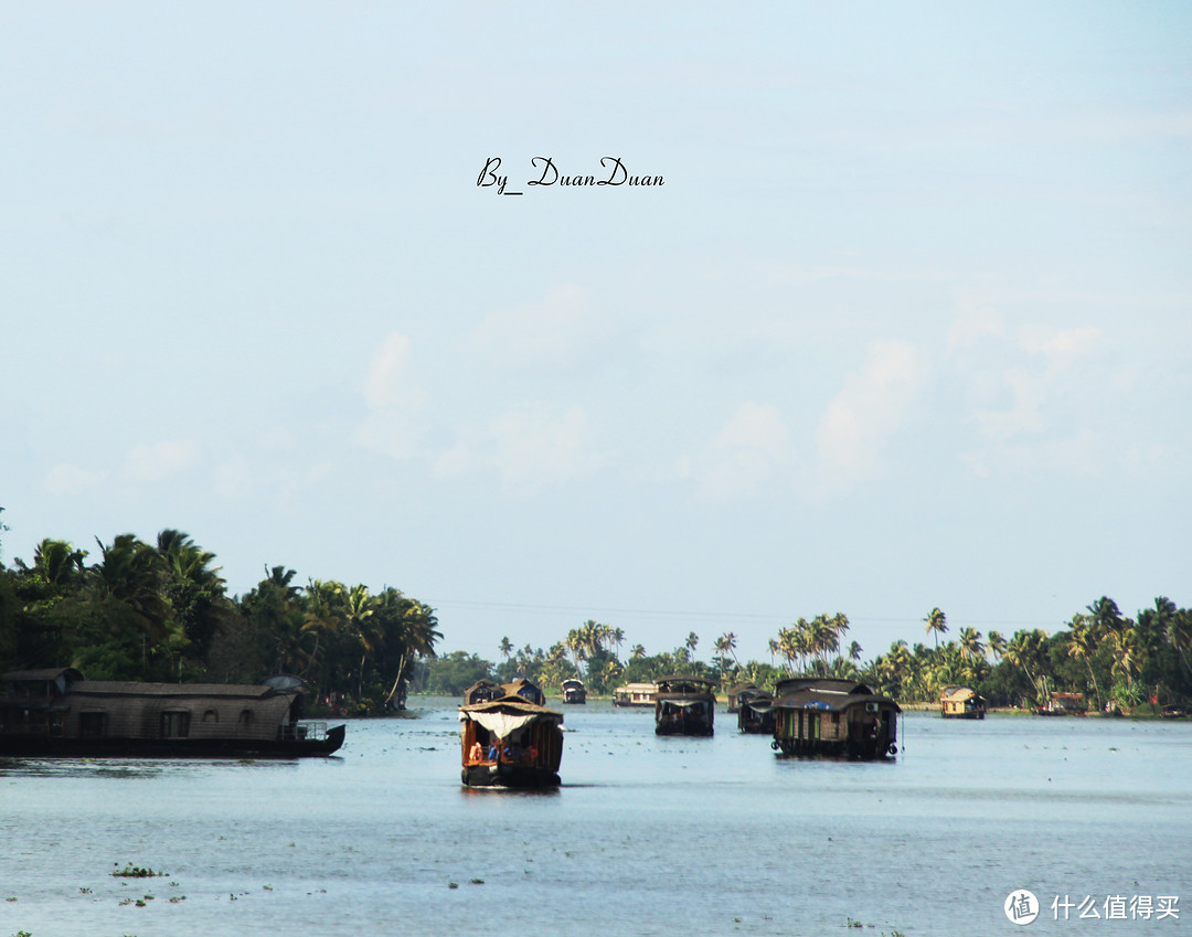 去南印，吹吹阿拉伯海的海风（篇四、椰林天堂Allappuzha）