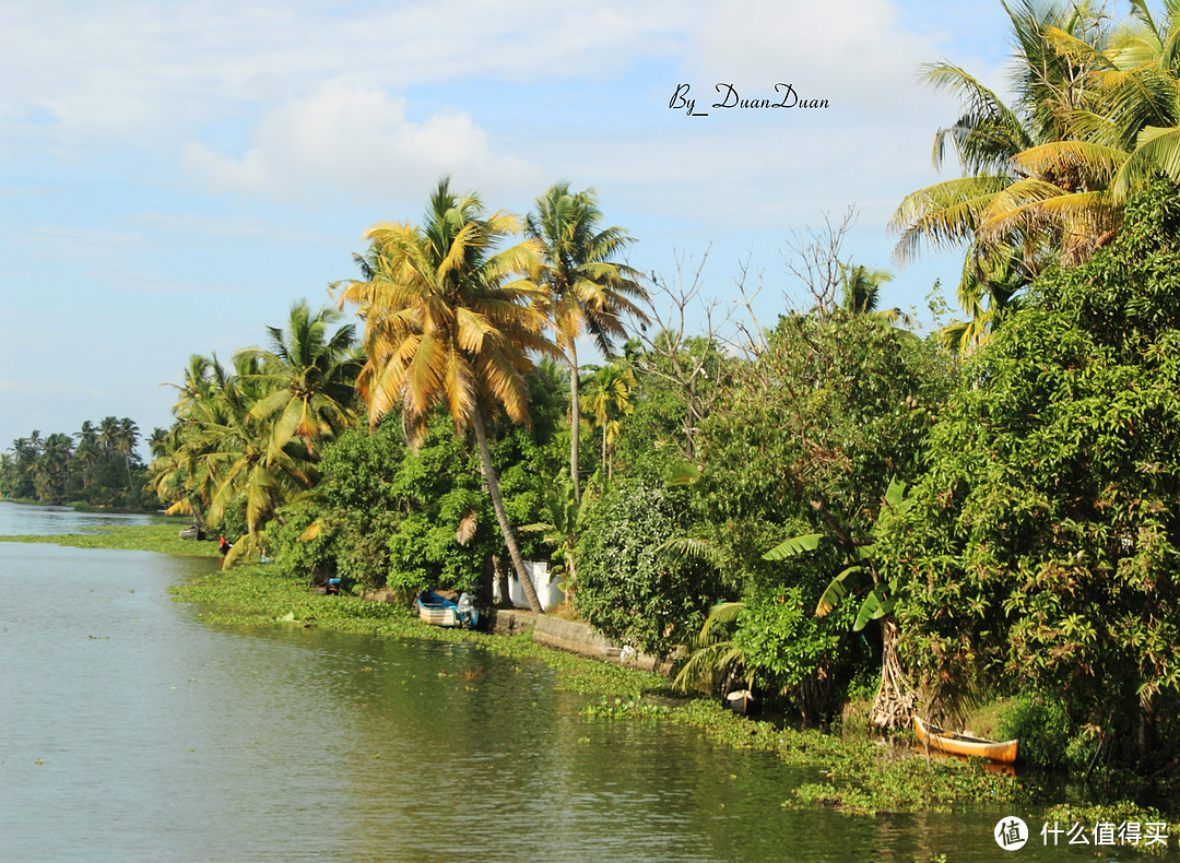 去南印，吹吹阿拉伯海的海风（篇四、椰林天堂Allappuzha）