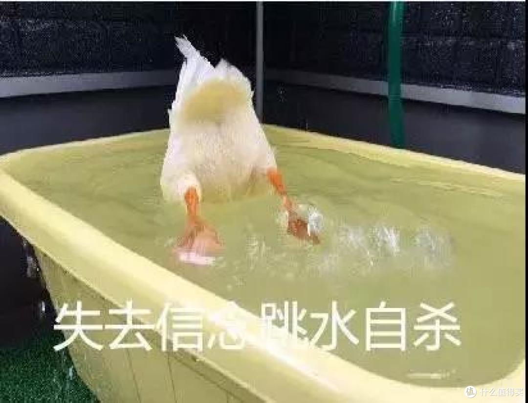 半年降价 2500,这些年度跳水王手机究竟有多狠?