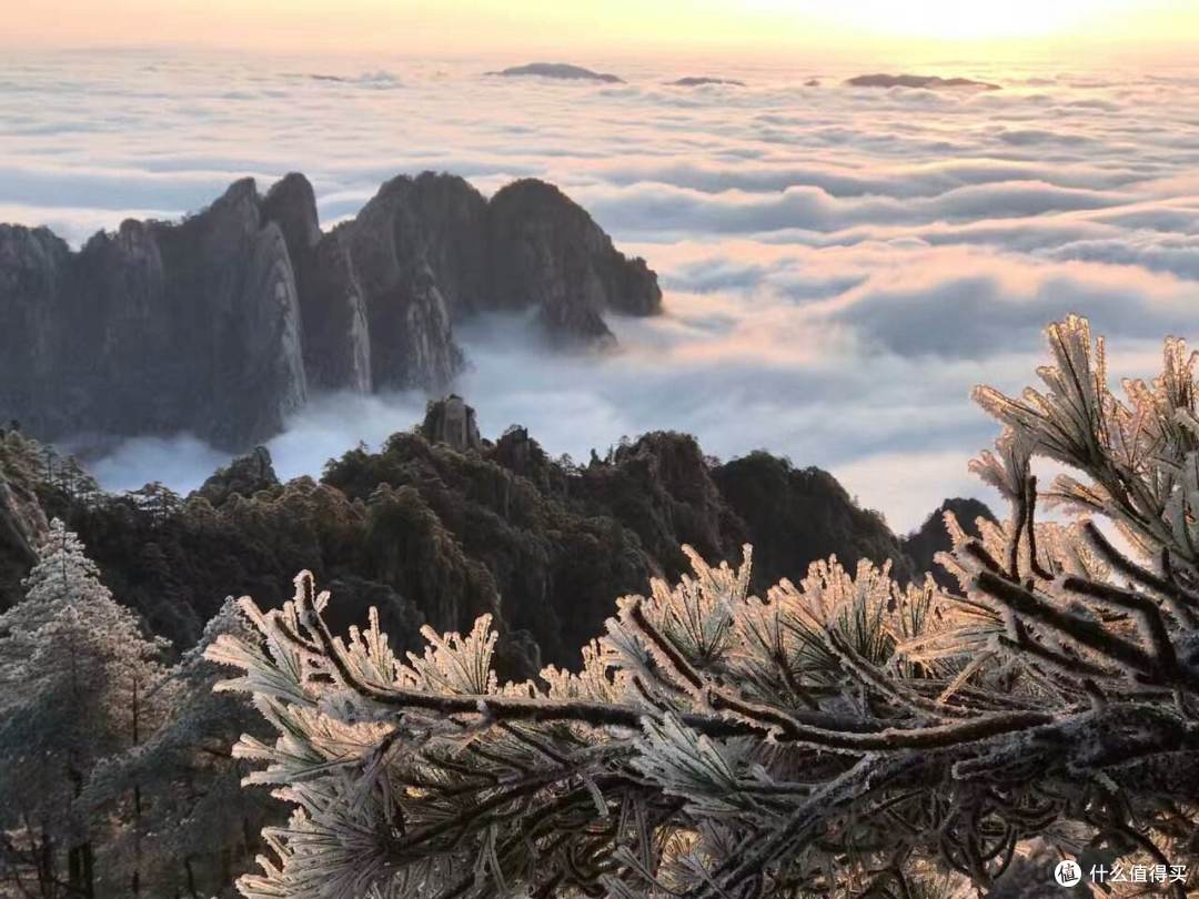 冬游黄山是作死?胡说!明明门票有折扣,景色还美!