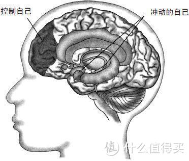 减肥没有那么难，这10个BBC用科学实验证实了的结论来看看！