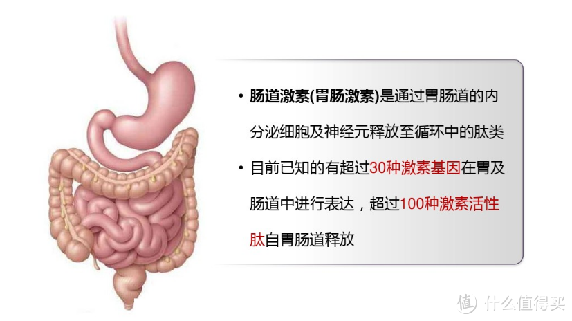 减肥没有那么难，这10个BBC用科学实验证实了的结论来看看！