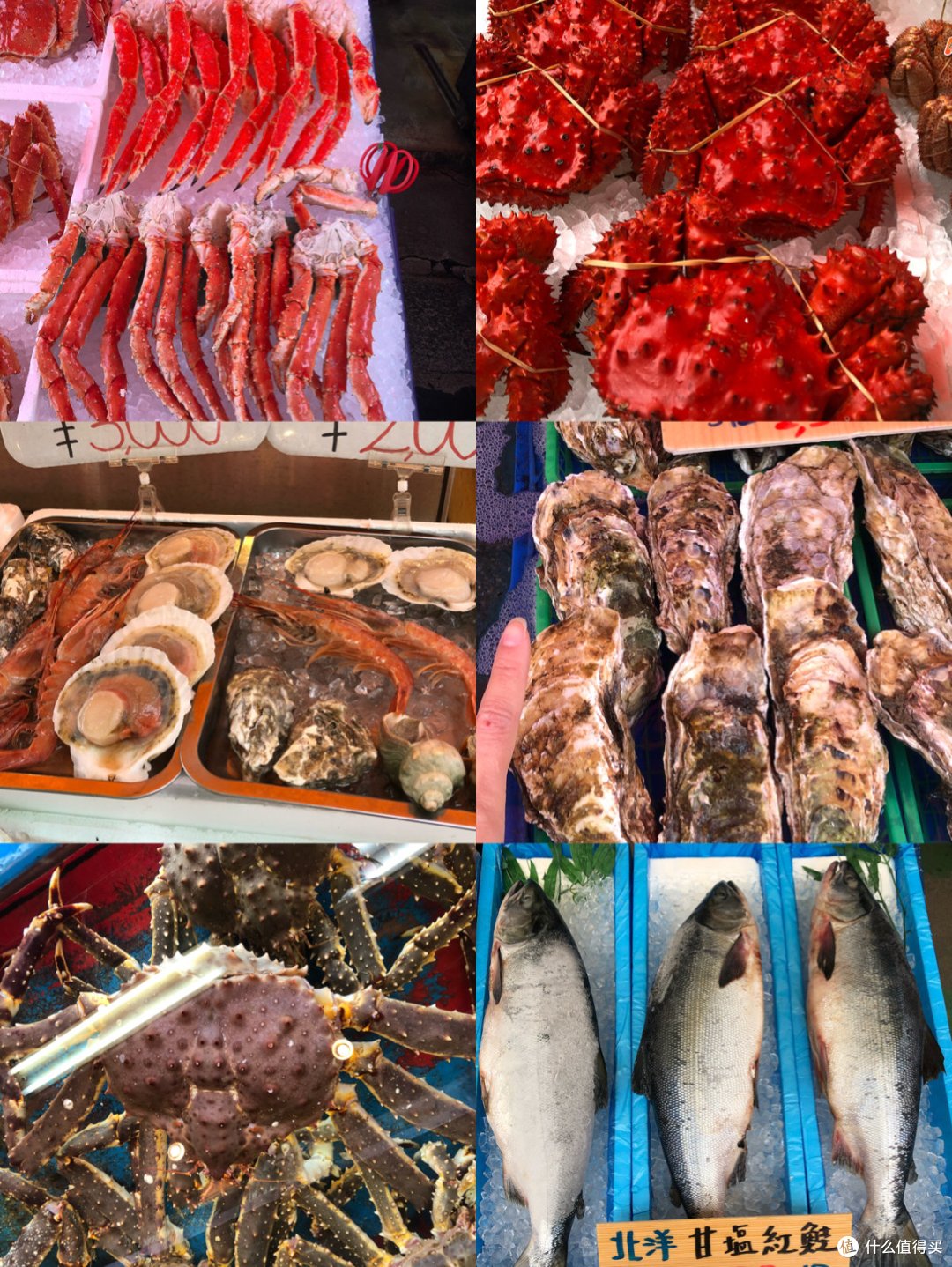 未见樱花却也迷醉—北海道七天八个地儿的暴走旅行(多图预警)下