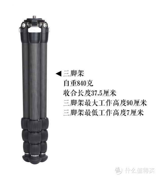 混血三脚架:马小路MT-5L