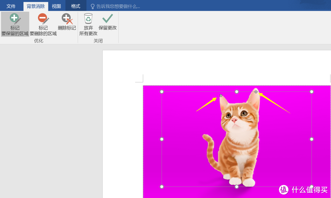 只要两分钟,用word制作你的简易版彩虹证件照