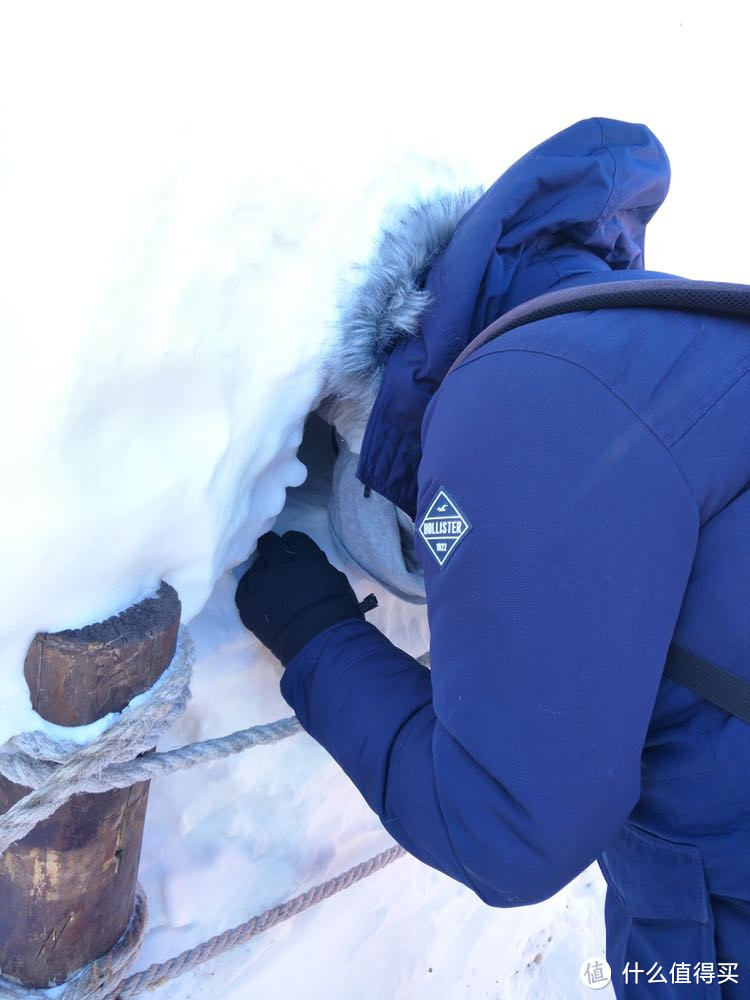 看到雪我是激动的，挖个坑把自己埋起来