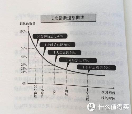 遗忘曲线