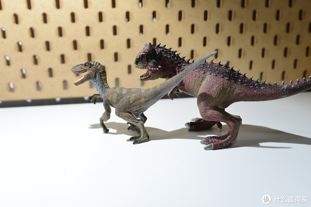 动物园里来新人 Schleich 思乐 野生动物&恐龙养成计划3