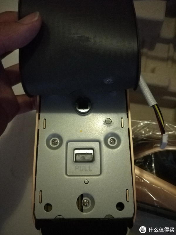 ǵ