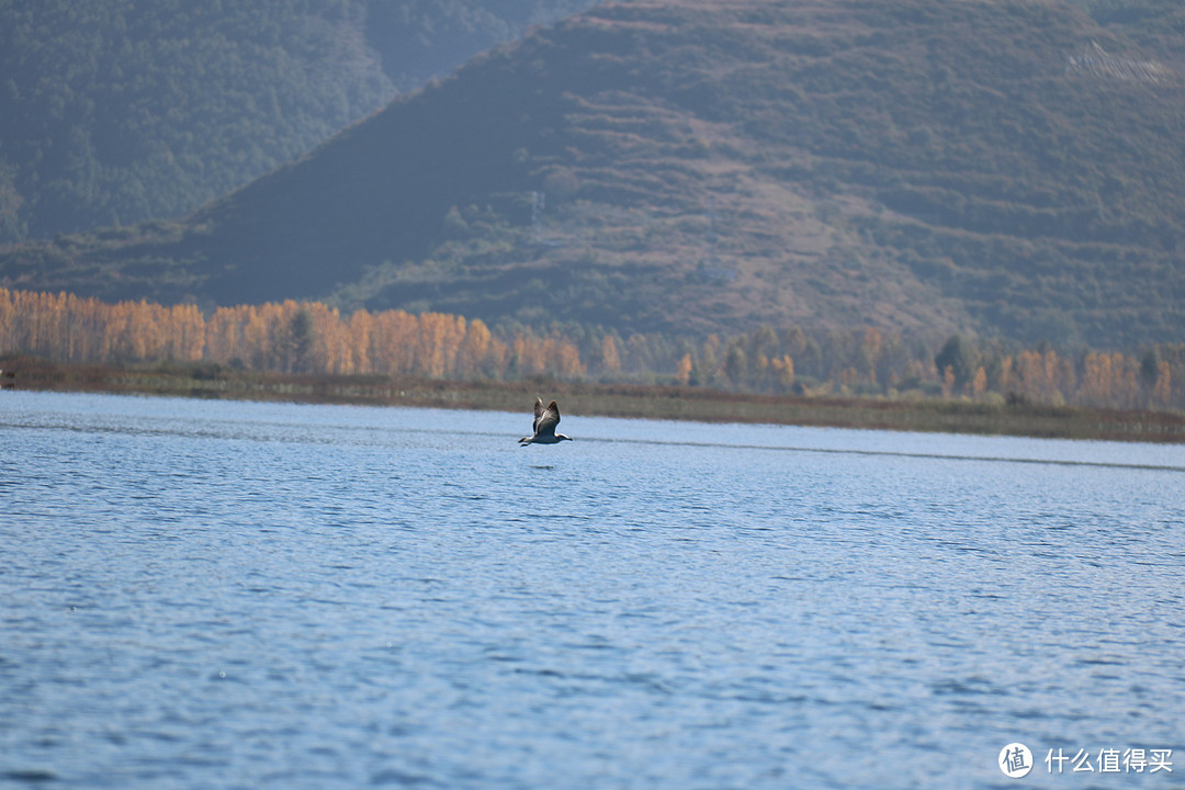 泸沽湖