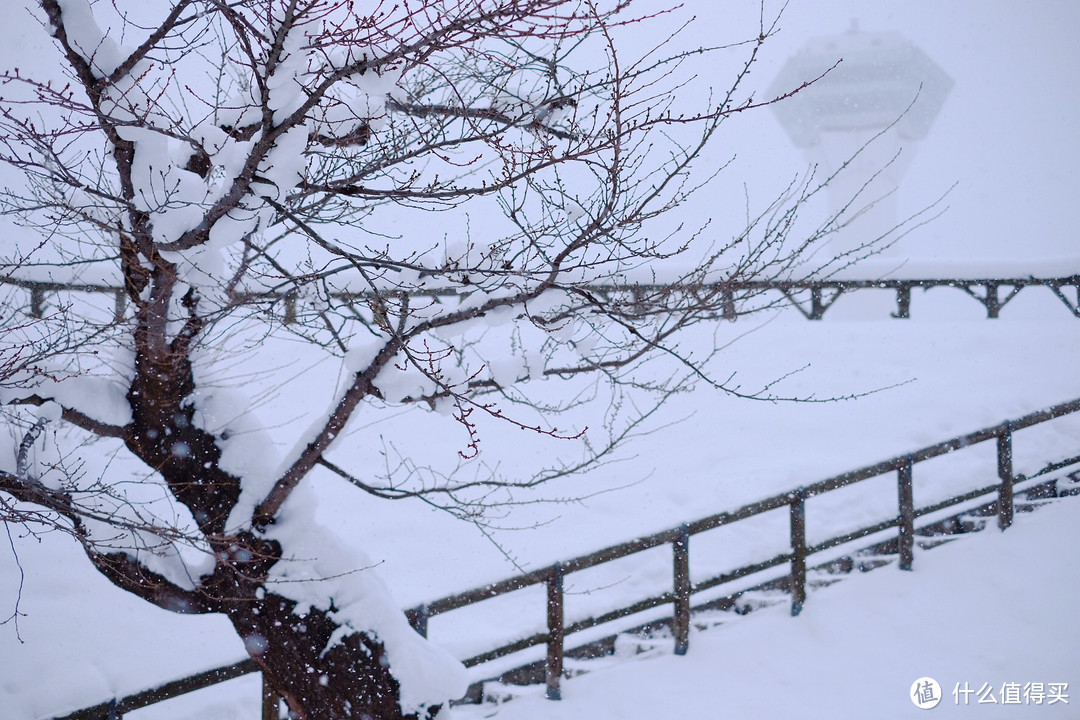 穷人才玩北海道