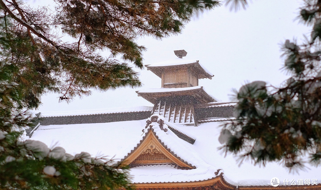 穷人才玩北海道