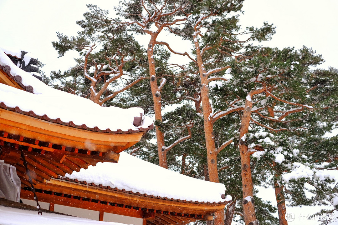 穷人才玩北海道