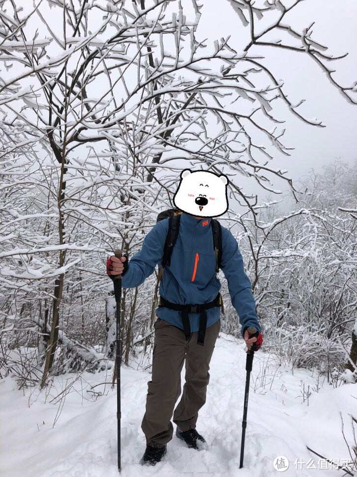 新年登峰赏风光，九华待客披雪妆