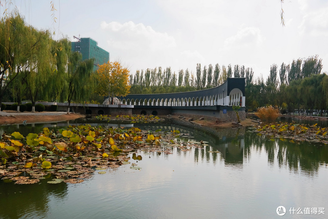 触动 在路上篇十一 银川印象 新月白寺 古楼黄沙 国内旅游 什么值得买