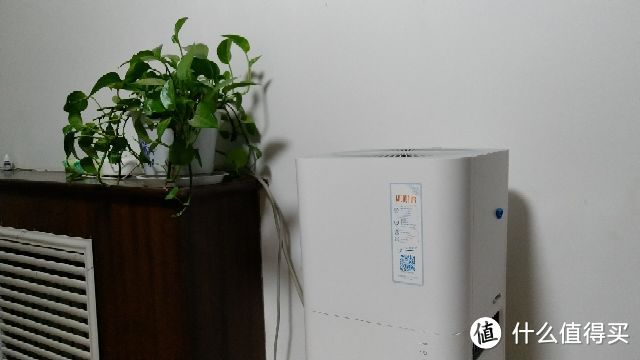 站在小米净化器的肩膀上——米兽加湿器