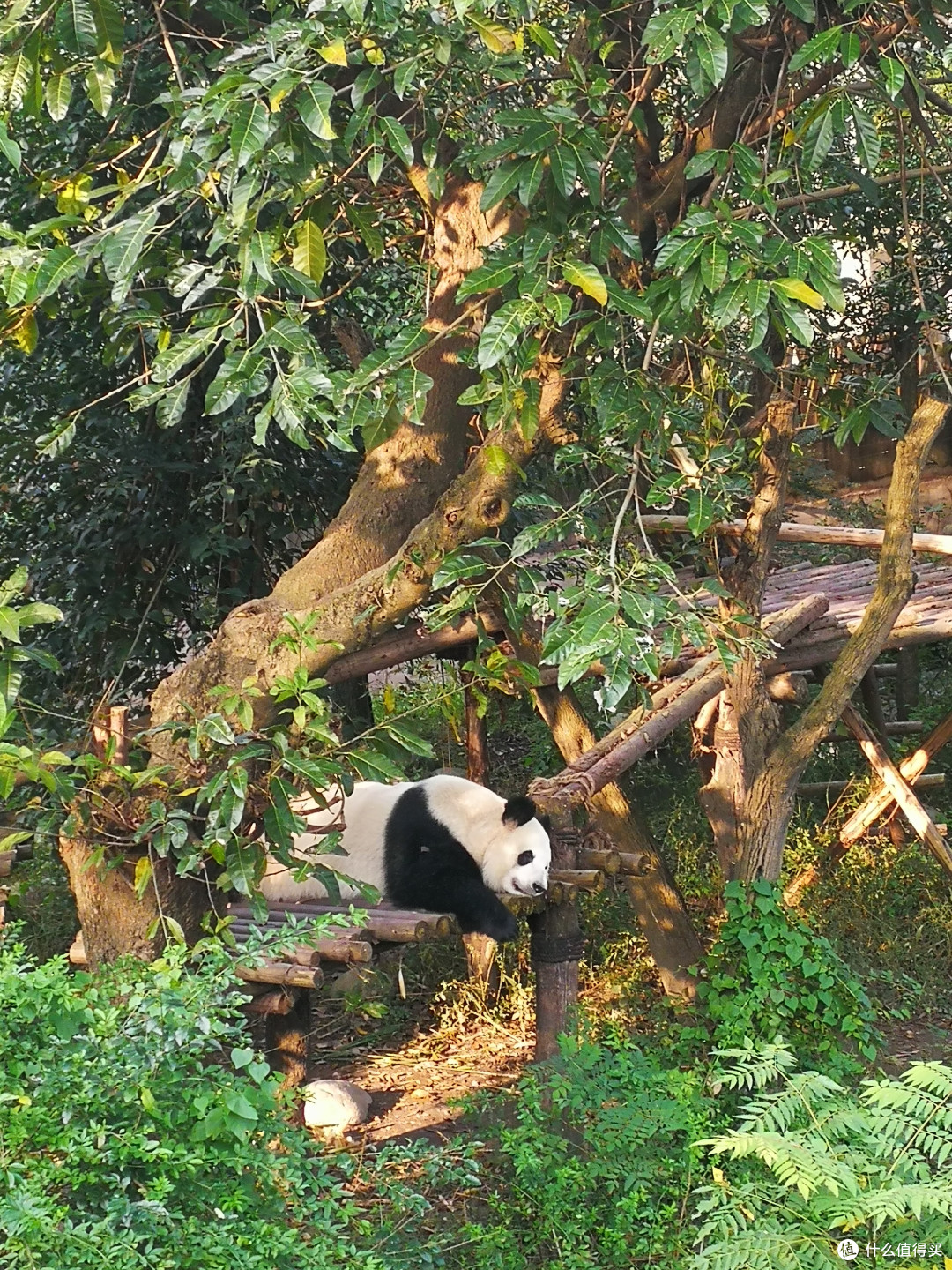 佛系周末二刷成都之旅