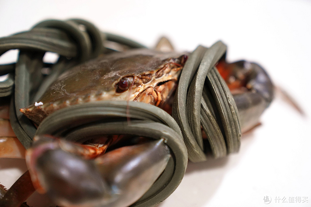 潮菜大师的蟹之—豆酱焗蟹，让人欲罢不能的鲜与香