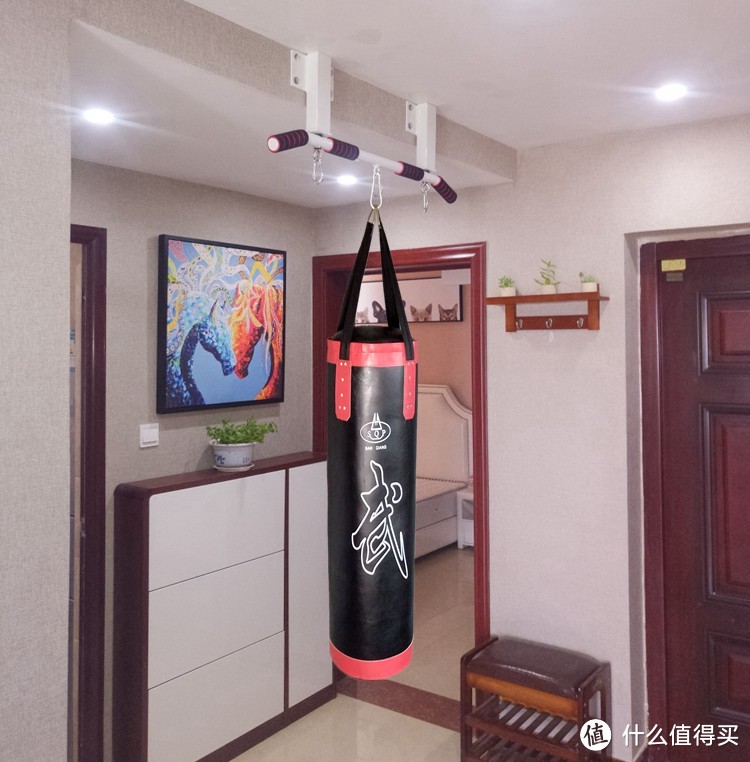 如何在家高效的练背?对抗地心引力!向上!