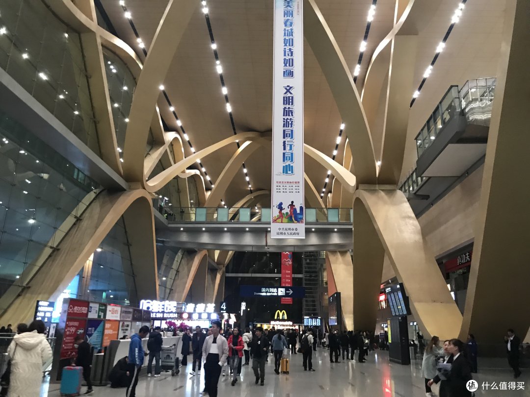 阳光+蓝天+樱花+海鸥+古城，我的元旦云南旅行