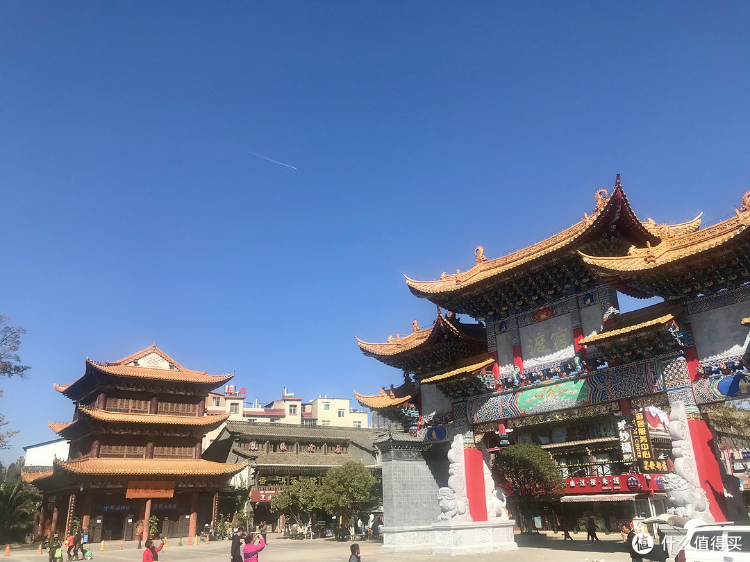 阳光+蓝天+樱花+海鸥+古城，我的元旦云南旅行